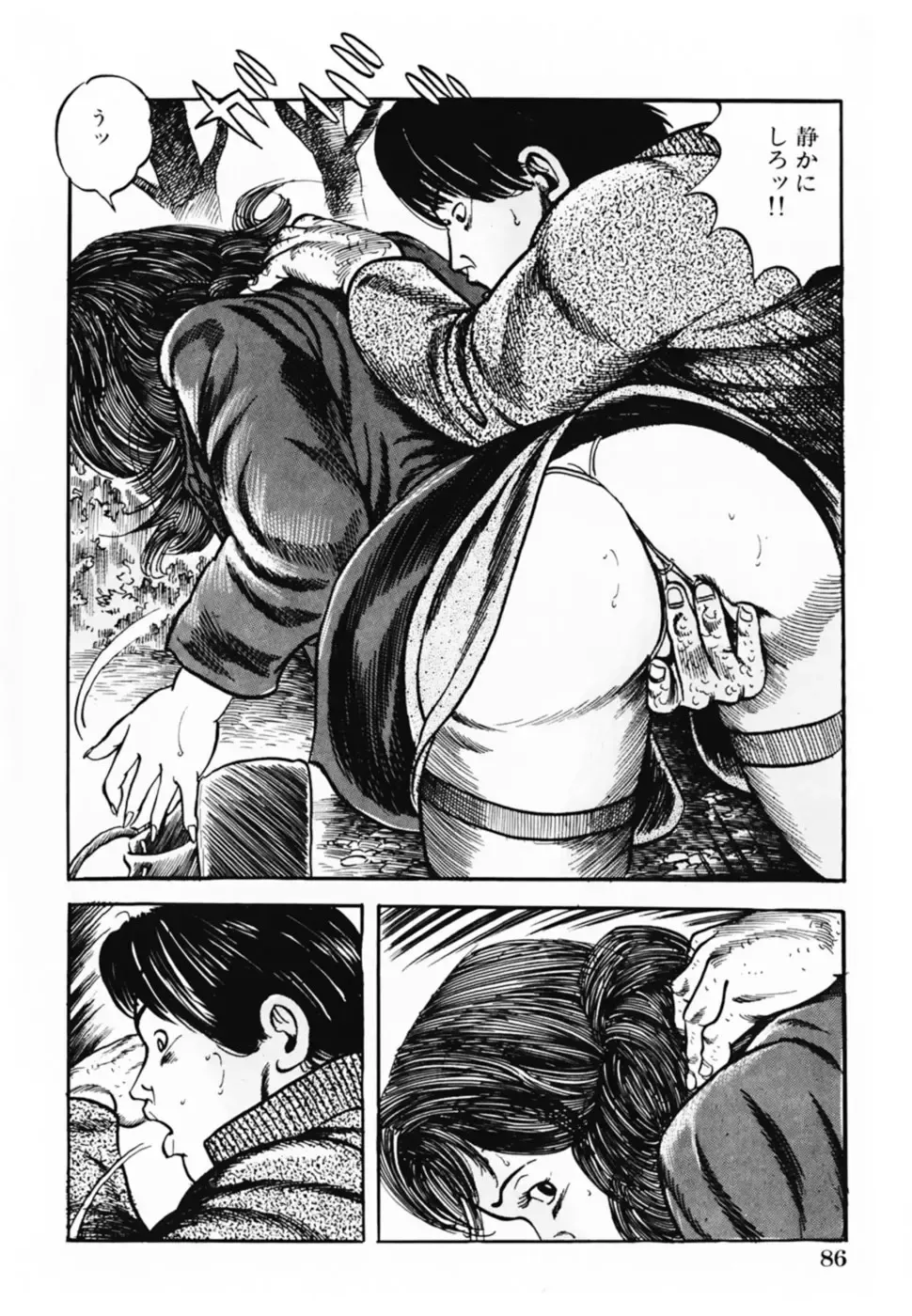 [Misawa Shin] Shakkin Zuma Niku Hensai Fhentai - Page 89