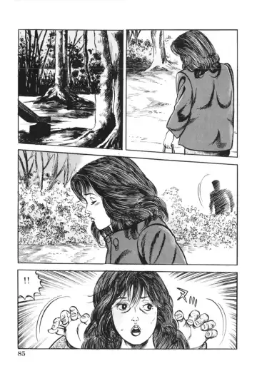 [Misawa Shin] Shakkin Zuma Niku Hensai Fhentai - Page 88