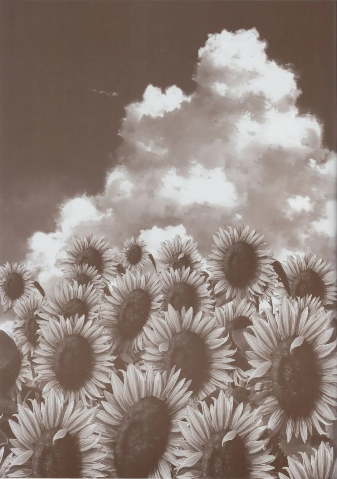 Natsuzora no Perseus Gouka-ban Omake Sasshi Fhentai - Page 36