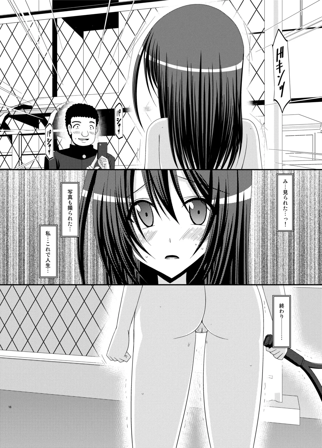 [Charu] Valssu No.100 Fhentai - Page 17