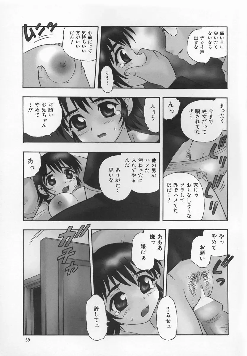 [Shinozaki Rei] CRIMSON Fhentai - Page 73