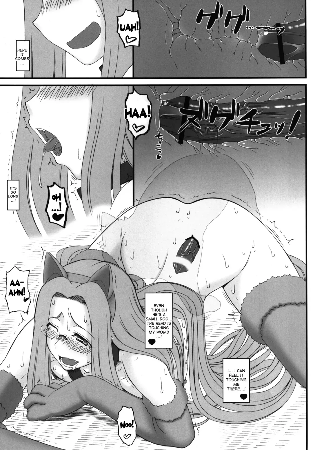 [Kobanya Koban] Rider-san ga Inu to SEX shichau Hon Fhentai - Page 14