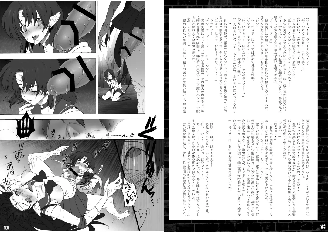 [Sch-mit] Suisei Osen Fhentai - Page 5