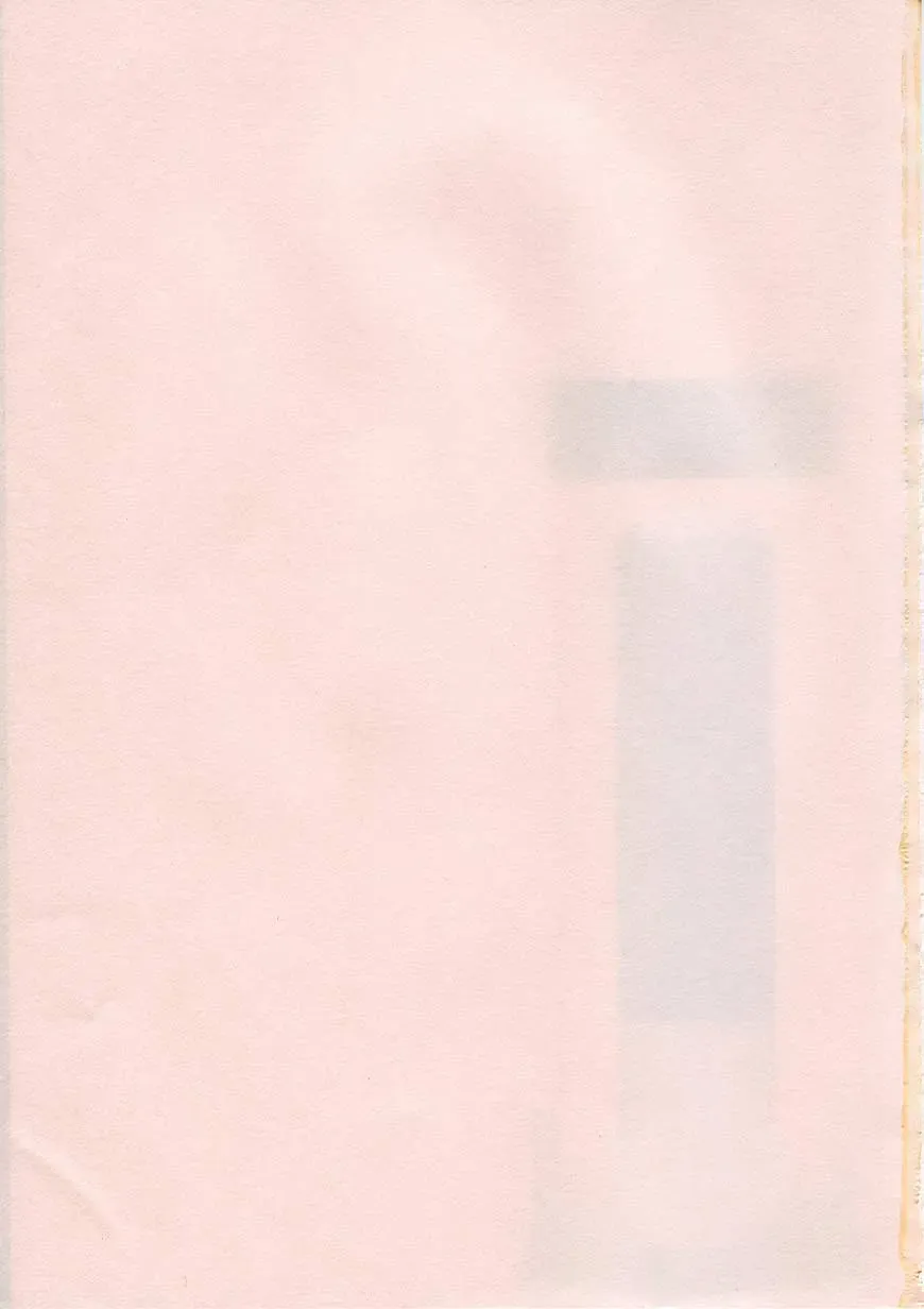 [Sozatsu Nae] Soukai Engi Twiny-Attraction Fhentai - Page 199