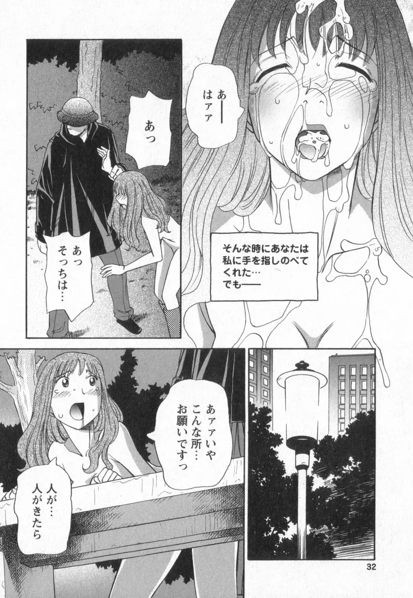 [Anmitsu Sou] Happy Valley Fhentai - Page 29