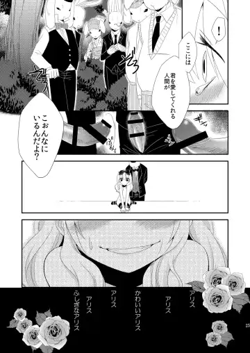 [Neko Maru Rentarou] xxx no Kuni no Alice Fhentai - Page 24