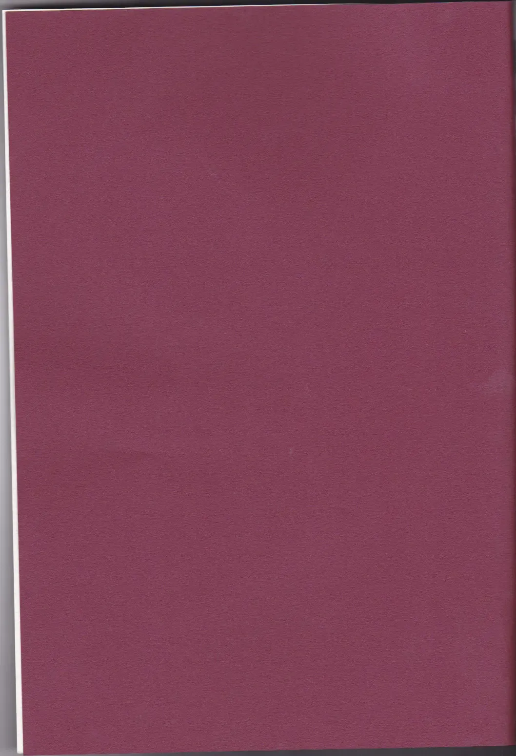 [Sakurazawa Izumi] Warui Mahoutsukai Fhentai - Page 2