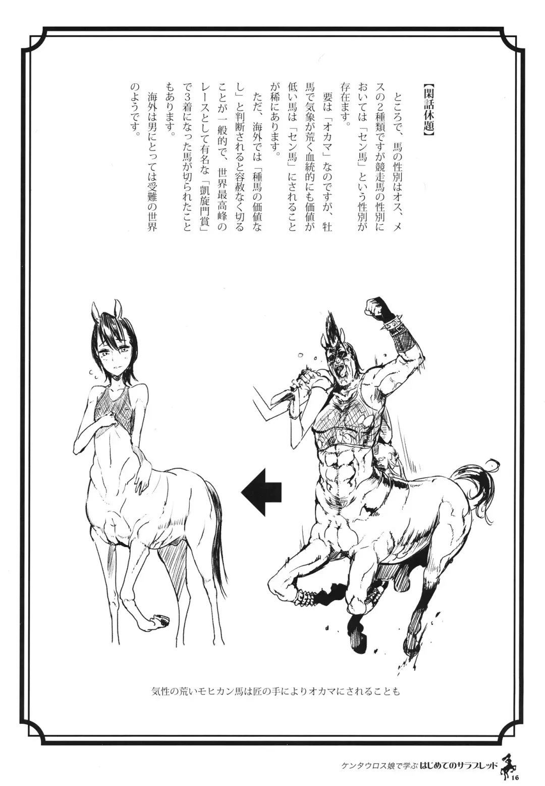 Centaur Musume de Manabu Hajimete no Thoroughbred Fhentai - Page 15