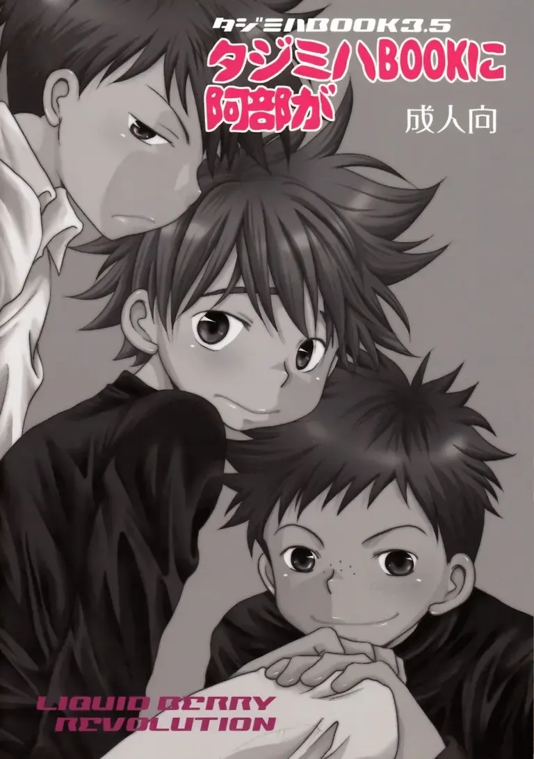 [Ashita] Tajimiha BOOK 3.5 Fhentai - Page 20