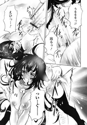 [Shiraishi Asuka] Mousou Otome Zukan Fhentai - Page 21