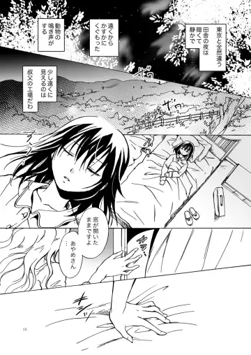 [Mira] Kurenai Mugen Fhentai - Page 14