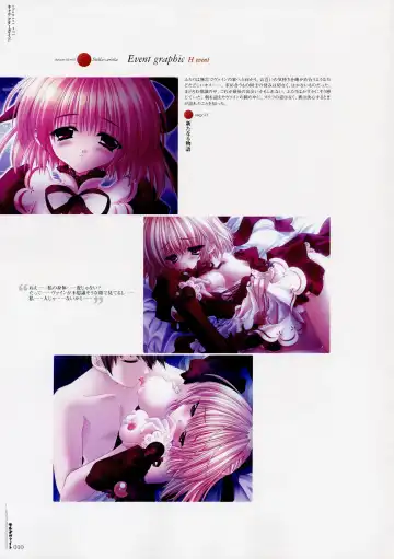 Moldavite Visual Fanbook Fhentai - Page 19