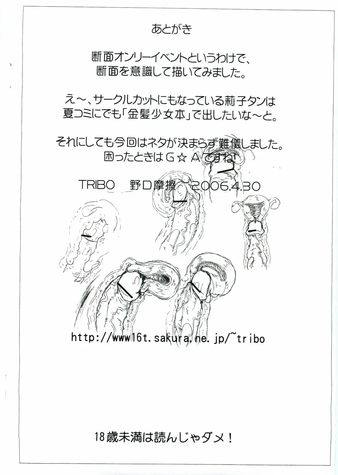 [Noguchi Masatsu] Ryuutai Junkatsu - Dai Danmen Fhentai - Page 17