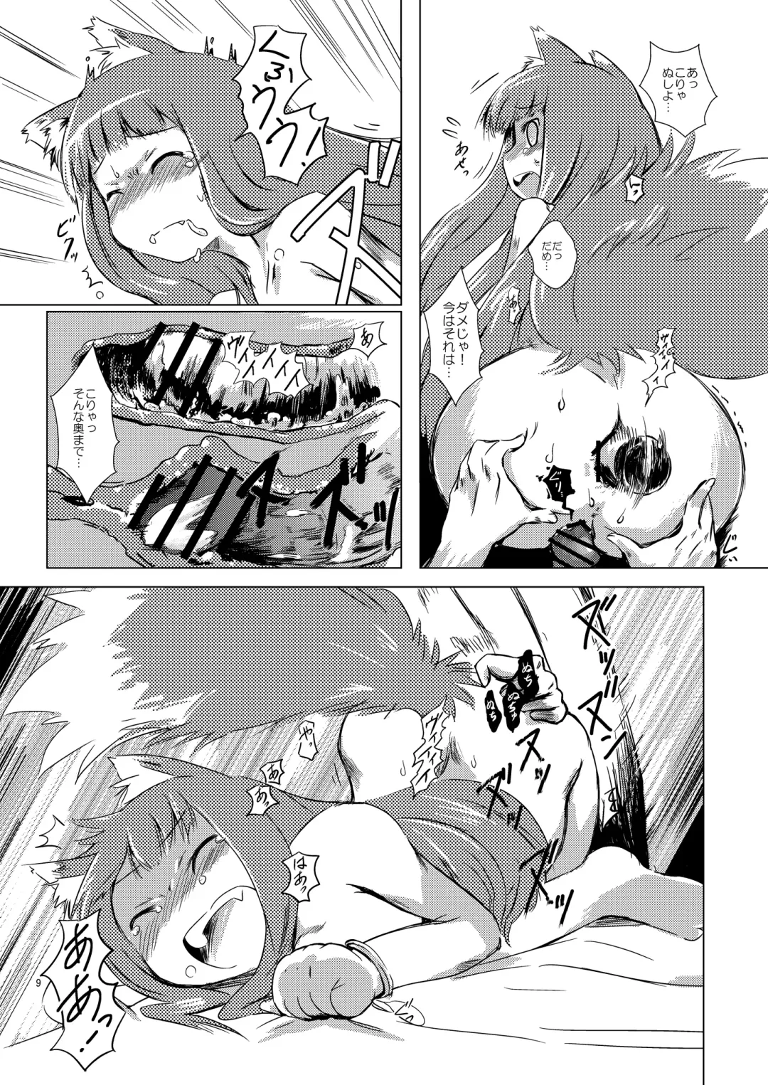 [Matra-mica] Ookami to Koushindou Fhentai - Page 9