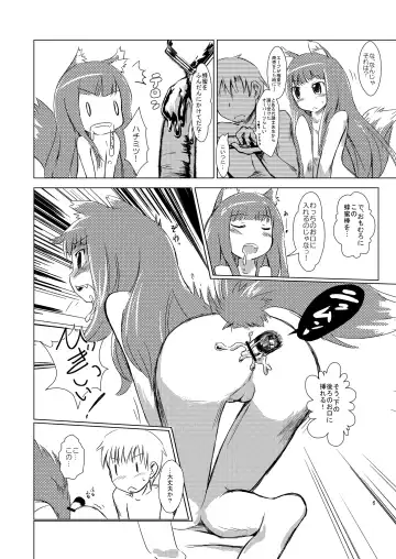 [Matra-mica] Ookami to Koushindou Fhentai - Page 6