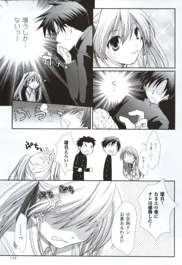 [Ko-cha - Yamabuki Mook] Happiness! Visual Fanbook Fhentai - Page 140