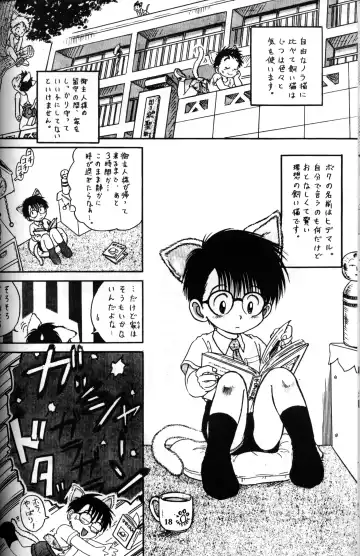 [Mitsui Jun] Mitsui Jun - Candy Boy Fhentai - Page 17