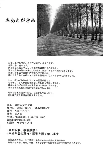 [Sas] Hajikeru Synapse Fhentai - Page 25