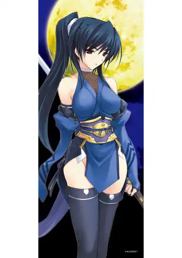 [Miss Black] Choukou Sennin Haruka: Kokoro no Maki Fhentai - Page 245