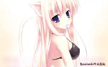 [Zero No Mono] Mei Trip Maehen Fhentai - Page 23