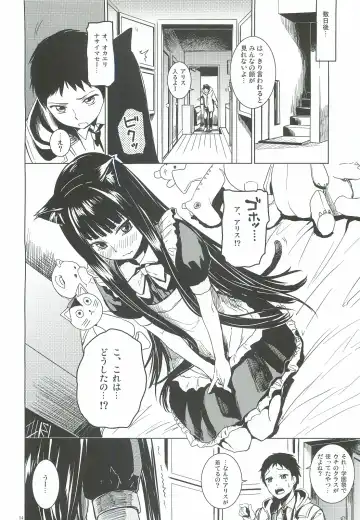 [Misato Nana] Alice in God Notepad Fhentai - Page 13