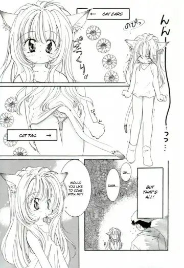 [Mitaonsya] Girl Friend Fhentai - Page 151