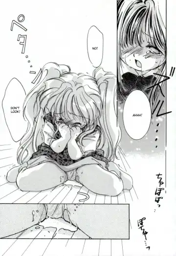 [Mitaonsya] Girl Friend Fhentai - Page 29