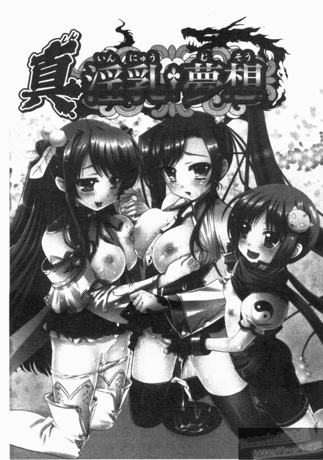 Shin・Innyuu Musou Fhentai - Page 2