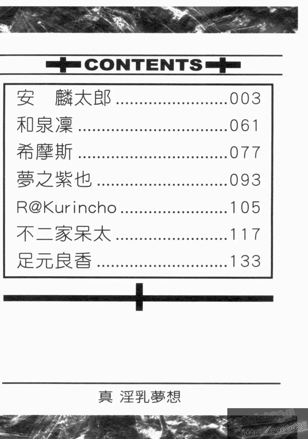 Shin・Innyuu Musou Fhentai - Page 3