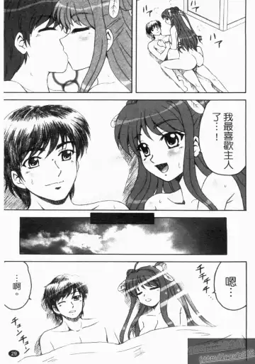 Shin・Innyuu Musou Fhentai - Page 30