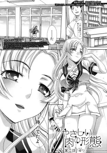 [Itaba Hiroshi] Yasashii Niku no Keitai Fhentai - Page 25