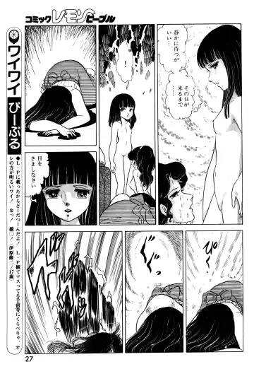 Lemon People 1983-11 Vol. 22 Fhentai - Page 28