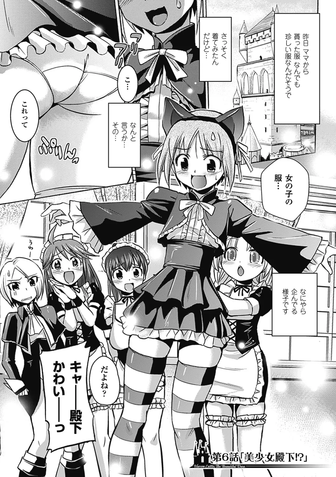 [Hiviki.n - Tokimal Yoshihisa] Harem Castle The Beautiful Days Fhentai - Page 136