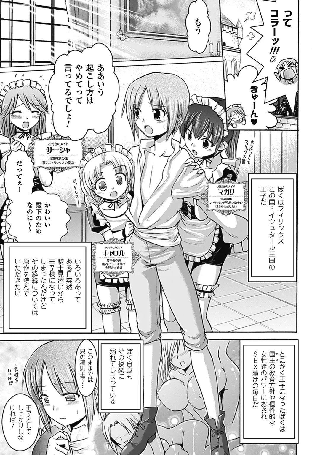 [Hiviki.n - Tokimal Yoshihisa] Harem Castle The Beautiful Days Fhentai - Page 8