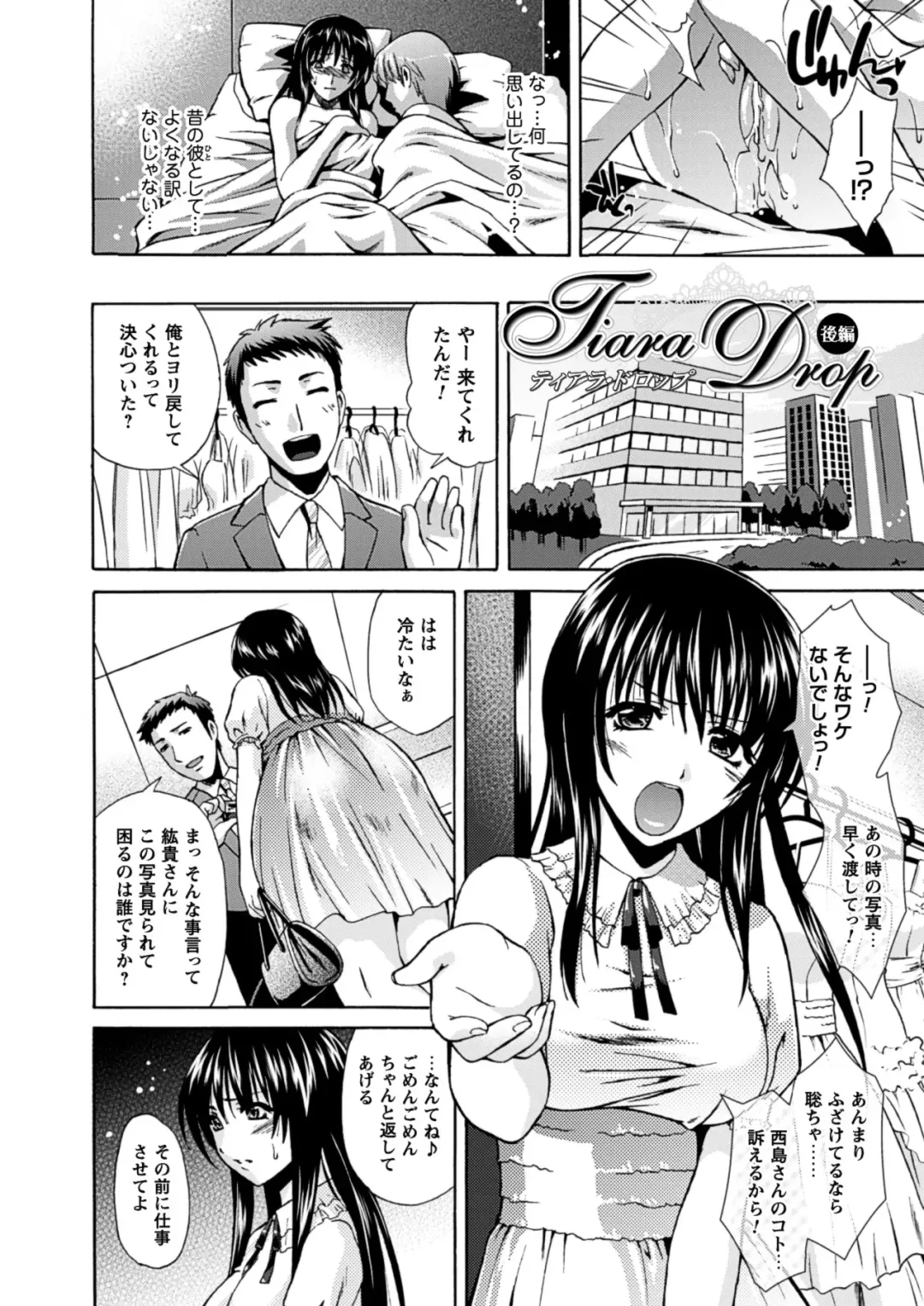 [Karasuma Nishiki] Himeiro Sequence Fhentai - Page 26