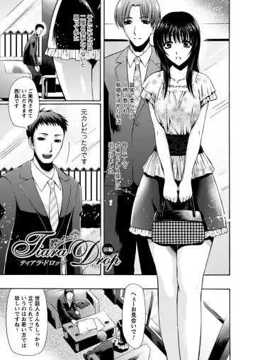 [Karasuma Nishiki] Himeiro Sequence Fhentai - Page 5