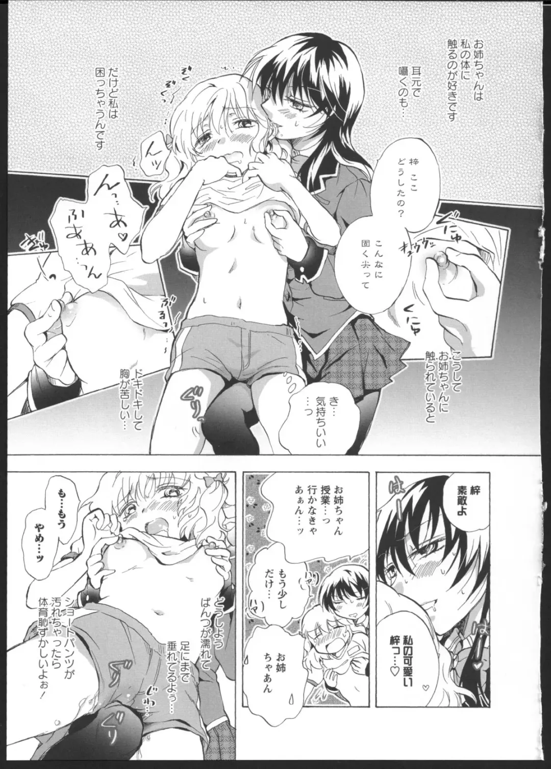 [Mira] Watashi no Ikenai Onee-chan Fhentai - Page 5