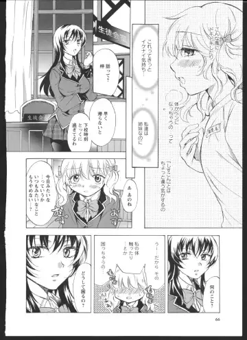 [Mira] Watashi no Ikenai Onee-chan Fhentai - Page 8