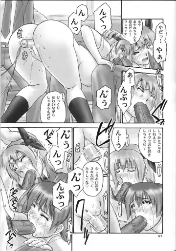[Iruma Kamiri - Mibu Natsuki] orz. Fhentai - Page 26