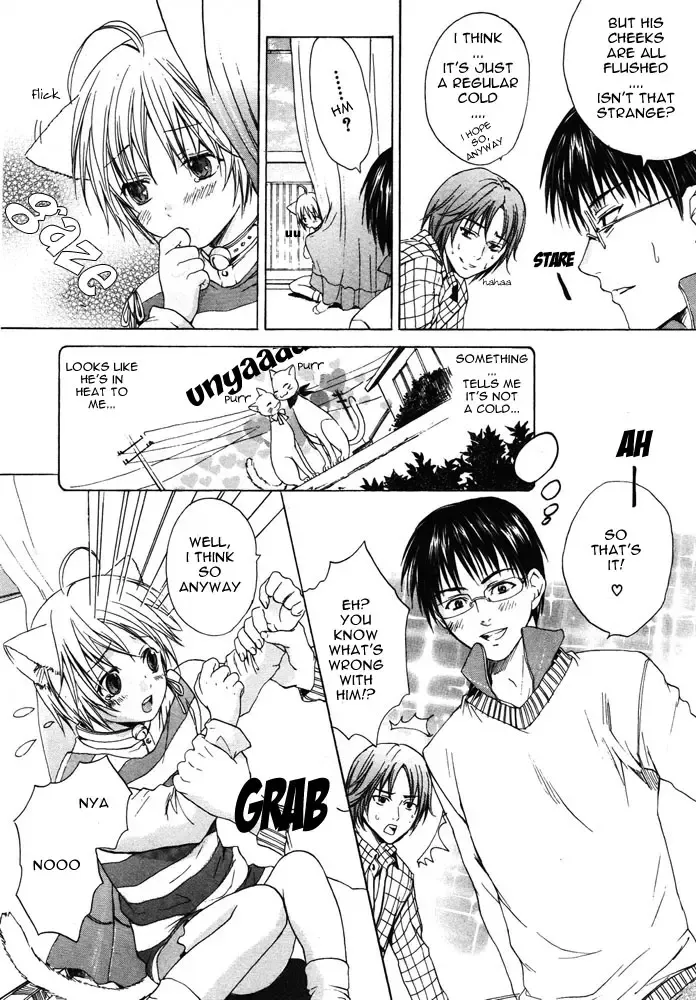 [Miyashita Kitsune] Neko Life | Cat Life Fhentai - Page 4