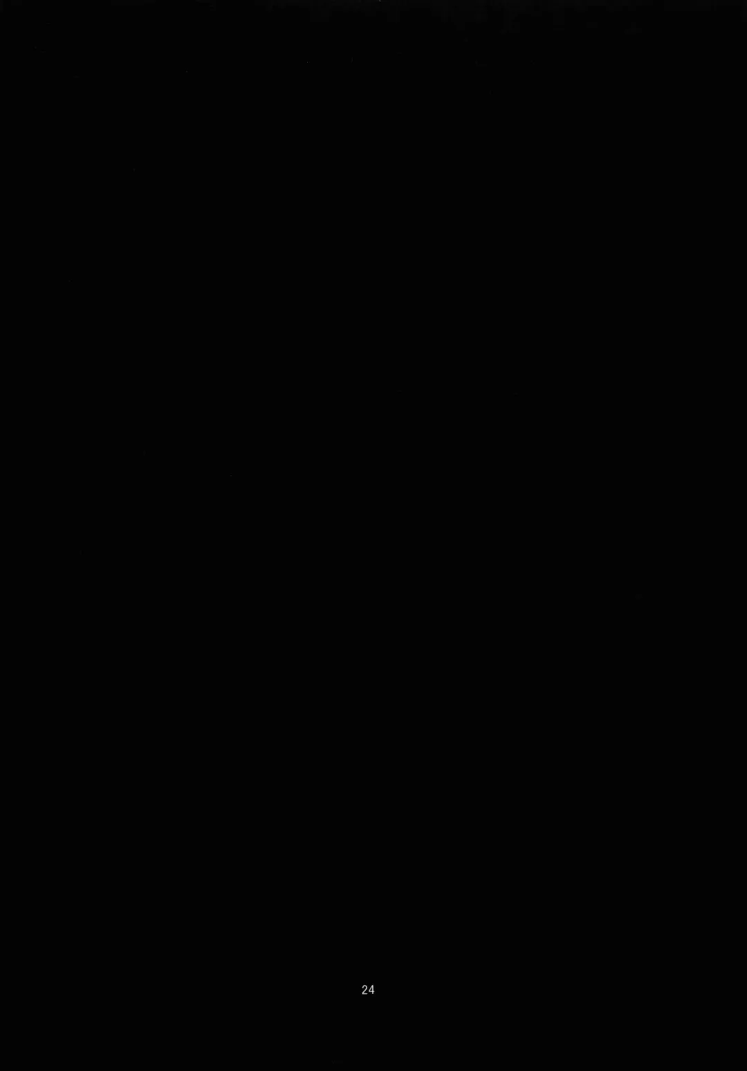 [Obyaa] Nikuyokugami Gyoushin - Carnal desire in God [Again] - Fhentai - Page 24