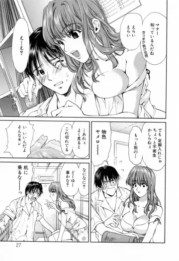 [Houruri] Hajimete no Hito Fhentai - Page 29