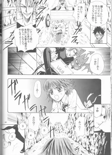 [Shidako] Makai Ouji Fhentai - Page 44