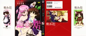 [Tomozawa Shou] Mitsuiro Ni Tokeru Kakera - Fhentai