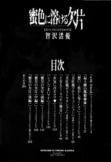 [Tomozawa Shou] Mitsuiro Ni Tokeru Kakera Fhentai - Page 207