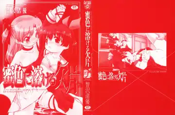 [Tomozawa Shou] Mitsuiro Ni Tokeru Kakera Fhentai - Page 4