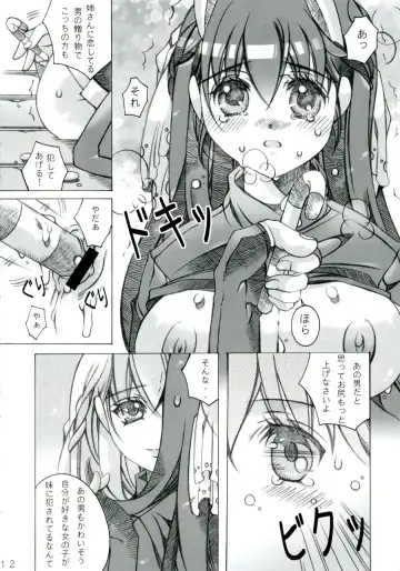 [Choco Coronet] Doudlr Fhentai - Page 12