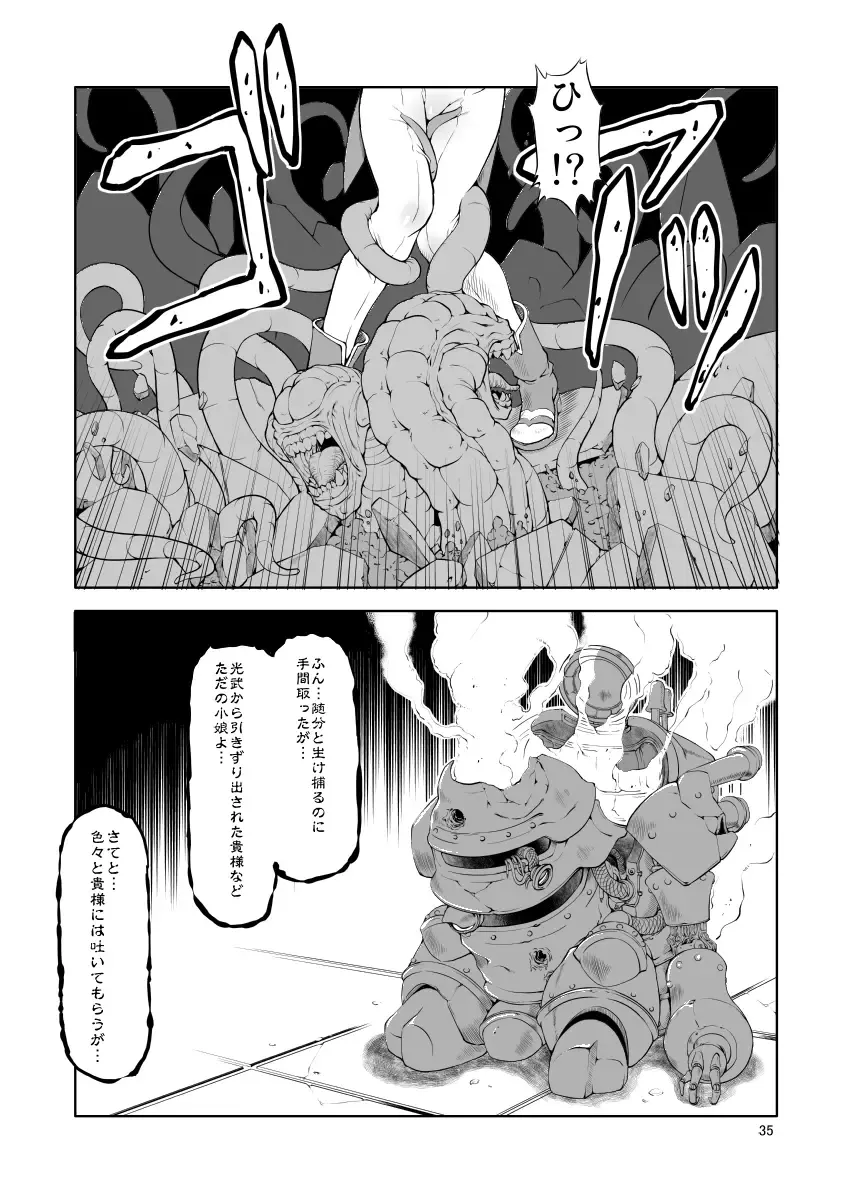 [Miharu] FD2 Fhentai - Page 34