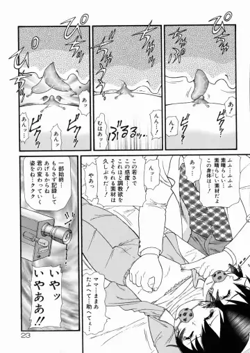 [Minion] So Soul Chichi (decensored) Fhentai - Page 25