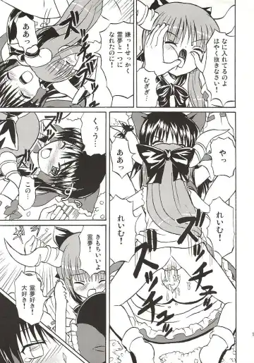 [Takaku Toshihiko] Touhou Youjo Ranbu 4 Fhentai - Page 14